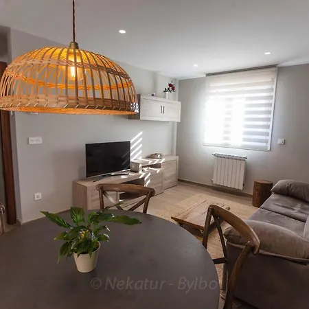 Apartment Endaneta Berri *