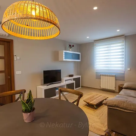 Apartment Endaneta Berri