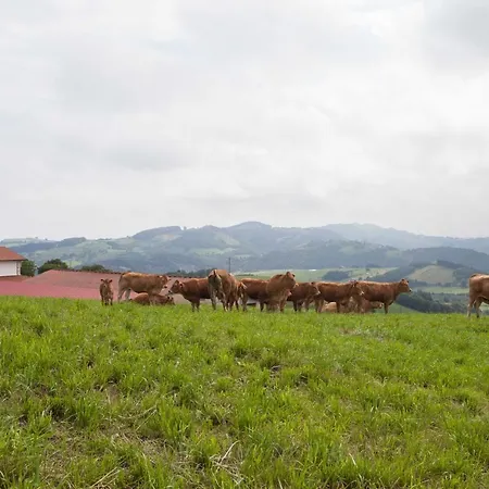 Endaneta Berri Apartamento