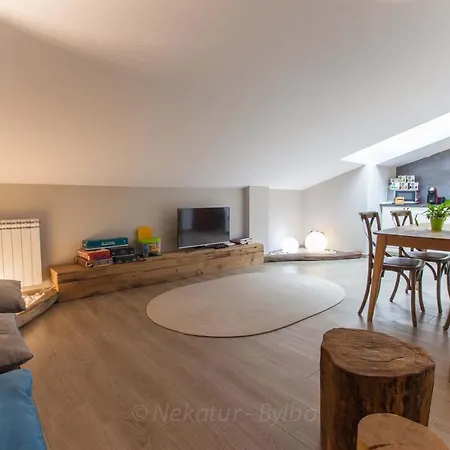 Endaneta Berri Apartment *