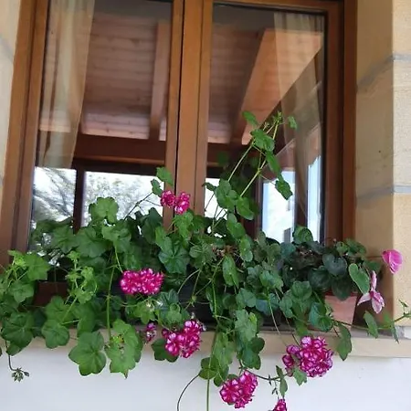 Apartment Endaneta Berri