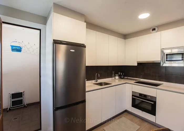 Endaneta Berri Apartamento Zumaia