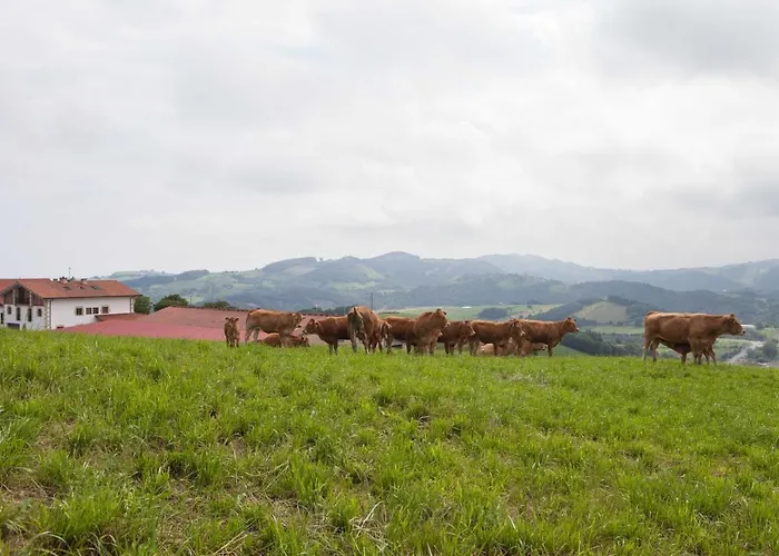 Endaneta Berri Apartamento