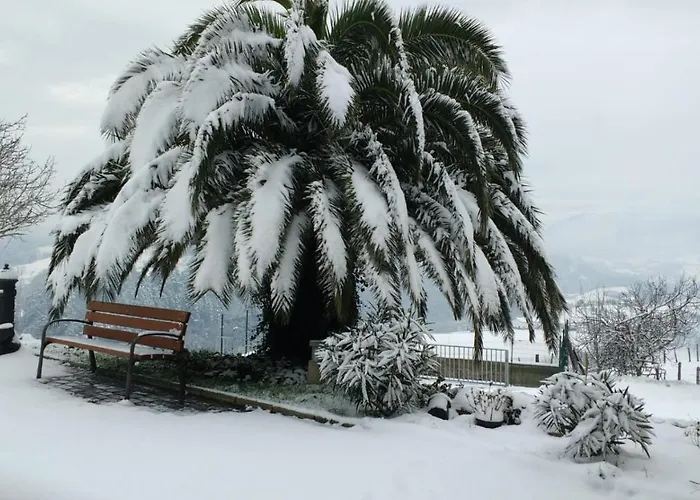 Endaneta Berri Zumaia
