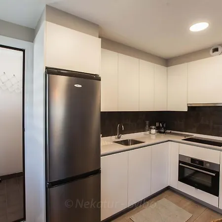 Endaneta Berri Apartman Zumaia