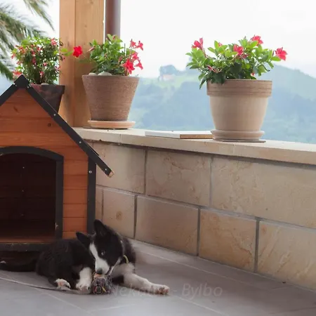 Endaneta Berri زومايا