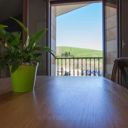 Endaneta Berri Apartman