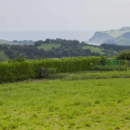 Endaneta Berri زومايا